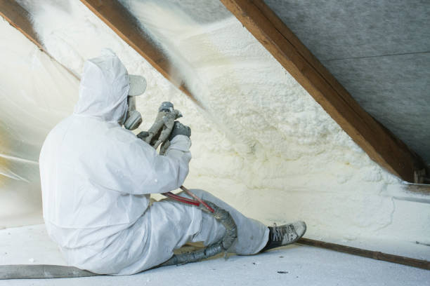 Eco-Friendly Insulation Solutions in Belgrade, MT